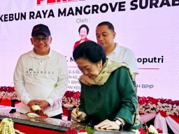 Ketua YKRI Megawati Soekarno Putri Meresmikan Kebun Raya Mangrove Surabaya