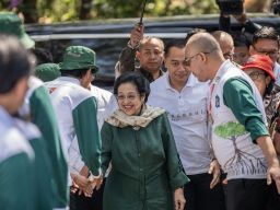 Kebun Raya Mangrove Surabaya Jaga Keberlanjutan Lingkungan hingga Edukasi