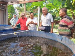 Potensi Budidaya Ikan Air Tawar Menjanjikan, DPRD Desak Pemkot Lakukan Pendampingan