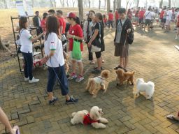 Fun Pawrade Dogs Walk 2023, Konteskan 205 Ekor Anjing dari 28 Ras