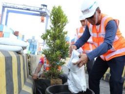 PT BJTI Tanam Bibit Pohon Tabebuya Dan Pucuk Merah