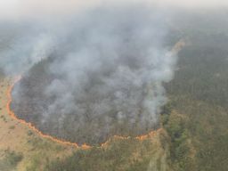 Kebakaran Hutan Landa Gunung Semeru dan Gunung Arjuno, Gubernur Ajak Sholat Istisqo