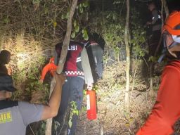 Lahan Perhutani Di Trenggalek Terbakar