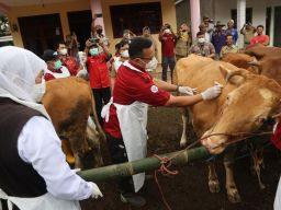 Peringatan Bulan Bakti Peternakan dan Kesehatan Hewan, Jatim Raih 4 Penghargaan