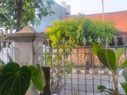 Tidurku Nyenyak Semalam, Anda?