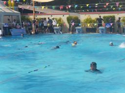 Mencari Bibit Atlet Dari Kompetisi Fun With Swimming CitraLand