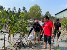 Polres Lamongan Tanam 300 Pohon Mangrove di Bibir Pantai Paciran, untuk Ini