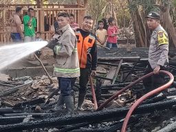 Kandang Berikut Tujuh Ekor Kambing Ludes Dilalap Si Jago Merah