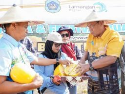 Festival Buah Latukan Bentuk Pengembangan Klaster Agribisnis Lamongan