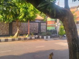 Mindset Seorang Pemimpin