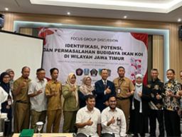 FPIK UB Identifikasi, Potensi dan Permasalahan Budidaya Ikan Koi di Wilayah Jawa Timur