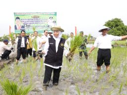 Khofifah Ajak Petani Wujudkan Kedaulatan Pangan Nasional Melalui Bantuan Benih Benih Padi dan Jagung