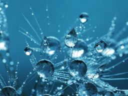 EcoSpring, IoT Untuk Tata Kelola Air Bersih Karya Mahasiswa UPN Veteran Jawa Timur