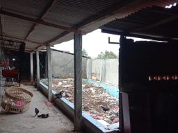 Hujan Deras Disertai Angin Kencang, Tumbangkan Pohon, Rusak Atap Puluhan Rumah, Dan 1 Gedung SD
