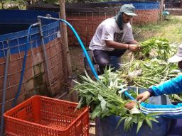 Hasil Sensus Pertanian BPS, Terdapat 971.102 Petani Millenial Di Jatim