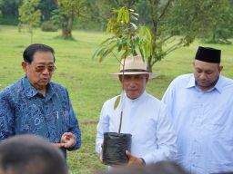 SBY akan Kawal Janji Jokowi Angkat Guru dan Pegawai Honorer Jadi ASN