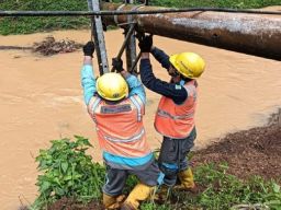 Awas, Kabel listrik Tertimpa Pohon Segera Lapor 123