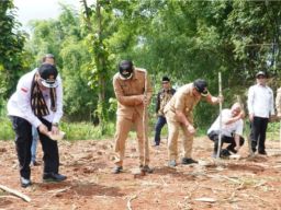 Kementan Tingkatkan Produksi Jagung Nasional, Lamongan Jadi Andalan