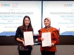Demi Transisi Energi, BNI Dukung Proyek PLTS