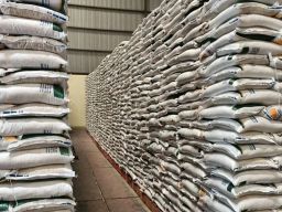 Operasi Pasar Tiap Kecamatan, Bulog Bondowoso Jamin Kebutuhan Beras Tercukupi Selama Ramadhan