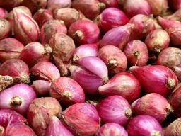 Harga Bawang Merah di Kota Blitar Hari Ini Alami Penurunan, Segini Perkilogramnya