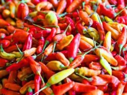 Harga Cabe Rawit Merah di Kota Blitar Hari Ini Merangkak Naik, Selisih Rp2 Ribu dari Kemarin