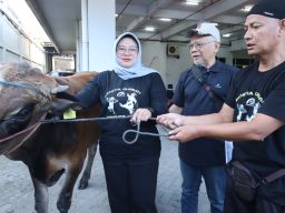 Diskominfo Jatim Rayakan Idul Adha 1445 H dengan Penyembelihan Hewan Kurban