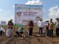 Pj Bupati Tulungagung Lakukan Tanam Perdana Tembakau