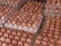 Harga Telur Ayam Ras di Kota Blitar dan Lamongan Kompak Sama, Segini Perkilogramnya