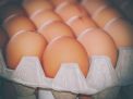 Selisih Tipis dengan Tulungagung, Segini Harga Telur Ayam Ras di Kota Blitar Hari Ini