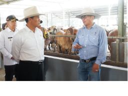 Menteri Pertanian Angkat Topi untuk Arie Triyono dan Peternakan Terpadu di Balaraja