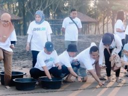 Pegadaian Kanwil XII Surabaya Beri Bantuan Tempat Penetasan Telur Penyu di Pantai Taman Kili-Kili