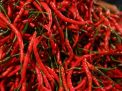 Selisih 1000 Rupiah dengan Jombang, Berikut Update Harga Cabe Merah Keriting di Kota Blitar Hari Ini