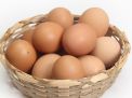 Selisih Lumayan dengan Trenggalek, Cek Yuk Harga Telur Ayam Ras di Kota Blitar Hari Ini