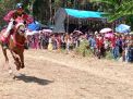 Pordasi Kabupaten Bondowoso Gelar Pacuan Kuda Bupati Cup IV