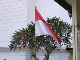 HUT Kemerdekaan RI ke-79, Direktur cDep Sebut Indonesia Tidak Baik-baik Saja