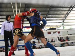 Diikuti 250 Peserta, Kejurprov Muaythai Jatim Catatkan Rekor