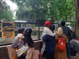 1 Januari 2025, Pengunjung Kebun Binatang Surabaya Membludak 