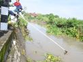 Cegah Banjir, Pemkab Sidoarjo Bersih-Bersih Sungai di Prambon