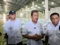 Menteri KKP Tinjau Pabrik Garam di Sampang, Tegaskan Komitmen Swasembada Garam Nasional