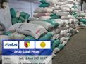 Serapan Bulog Jember tembus 2000 ton perhari, Naik 100 persen Dari Capaian Bulan lalu