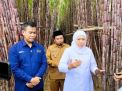 Gubernur Khofifah Luncurkan KUR Khusus untuk Petani Tebu, Dorong Kesejahteraan dan Ketahanan Energi