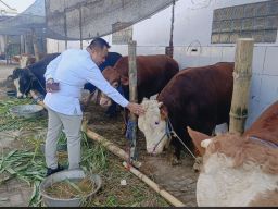 15 Sapi 10 Kambing, Kurban Cak YeBe Sentuh Banyak Kalangan