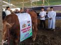 Ponpes Al Ishlah Bondowoso Gelar Kurban Terbesar, Presiden dan Kapolri Turut Berkurban