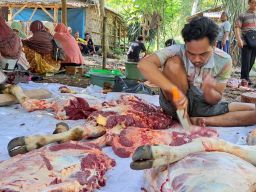 Kurangi Plastik, DPC PKS Mulyorejo Gunakan Besek untuk Bungkus Daging Kurban