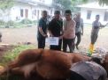 MN KAHMI Cetak Rekor Baru Penyembelihan Hewan Kurban