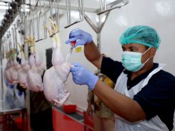 Surabaya Resmikan RPHU, Machmud: Permintaan Pemotongan Sudah Tembus 10 Ribu Ekor Per Hari