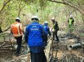 TPS Perkuat Komitmen ESG melalui Pelestarian Ekosistem Mangrove Sejak 2010