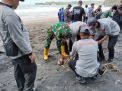 Dukung Pariwisata Lokal, Koramil 0808/17 Panggungrejo Berkontribusi Melalui Aksi Bersih-bersih Pantai Serang