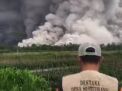 BNPB Pantau Dampak Kenaikan Status Aktivitas Vulkanik Gunung Semeru